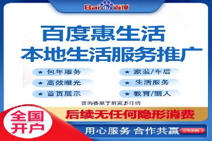 SEO百度推广策略：成功案例解析